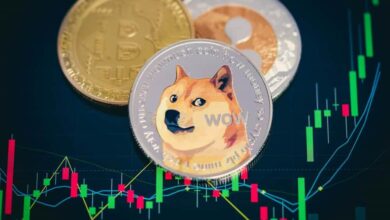 Photo of Dogecoin and Shiba Inu: Dogecoin remains above 0.14500