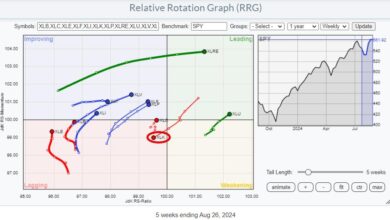 Photo of NVDA Is Not The Only Semiconductor Stock Out There.