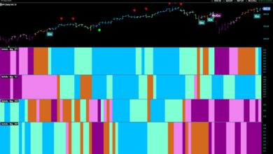 Photo of Equities Continue Surge Amid “Healthy” Rotation