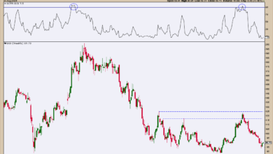 Photo of Disney Bust or Bargain? Here are the Levels to Watch!