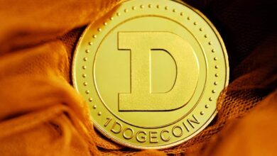 Photo of Dogecoin and Shiba Inu: Shiba rises to two-week high