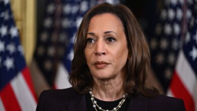 Photo of Ex-Obama official predicts Harris will seek new Iran nuclear deal: ‘Has to be the goal’