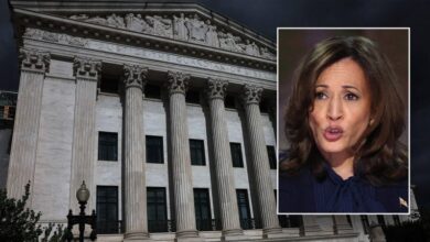 Photo of Harris was ‘open’ to packing Supreme Court during 2019 presidential bid