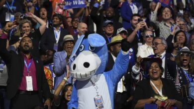 Photo of Convention night one showed the snap evolution of the Democratic Party