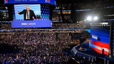 Photo of Progressives once felt spurned at the DNC. Now they’re cheering it.