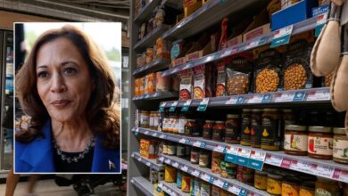 Photo of ‘Nail in the coffin’: Grocer turned House lawmaker trashes Kamala Harris’ price control plan