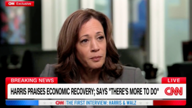 Photo of Kamala Harris offers vague ‘Day 1’ Oval Office plan in CNN interview: ‘A number of things’