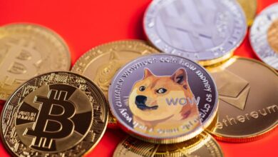 Photo of Dogecoin and Shiba Inu: Dogecoin is up since this morning