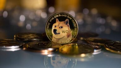 Photo of Dogecoin and Shiba Inu: Dogecoin is firmly above EMA 200