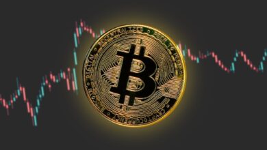 Photo of Bitcoin price continues its bullish rally on Wednesday