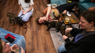 Photo of At one cat cafe, Vance’s ‘childless cat ladies’ remark prompts derision