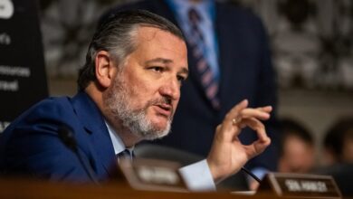 Photo of Cruz interrupted by anti-Israel agitator who yelled, ‘F—ing Jews’ during hearing on ‘hate’