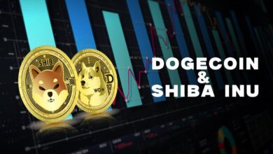 Photo of Dogecoin and Shiba Inu: Daily Targets and Prices