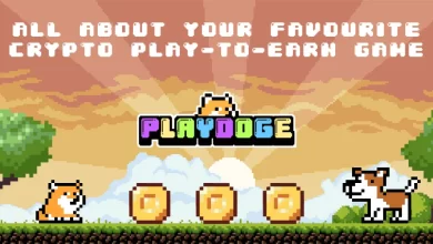 Photo of PlayDoge Game – Get The Latest News and much more