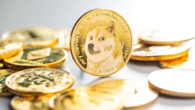 Photo of Dogecoin and Shiba Inu: Doge continues on the positive side