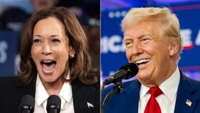 Photo of Fox News Poll: Trump ahead of Harris by 2 points nationally