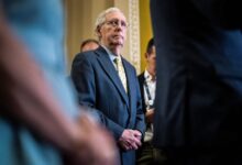 Photo of McConnell called Trump ‘stupid,’ a ‘despicable human being,’ new book says