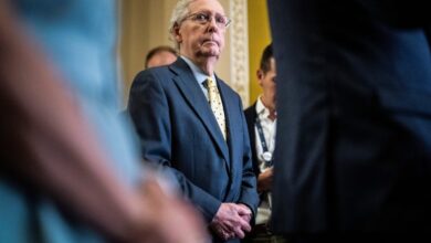 Photo of McConnell called Trump ‘stupid,’ a ‘despicable human being,’ new book says