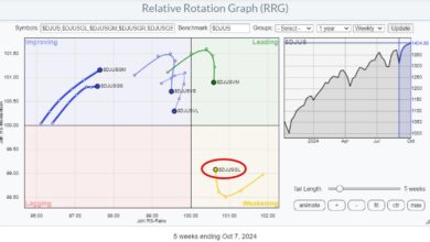 Photo of It’s Large-Cap Growth Stocks (Mag 7) Once Again