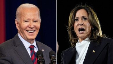 Photo of The fatal flaw in Kamala Harris’ speech, marred by Biden’s ‘garbage’ comment