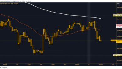 Photo of AUDUSD and AUDNZD: Targets and Prices Weekly Overview