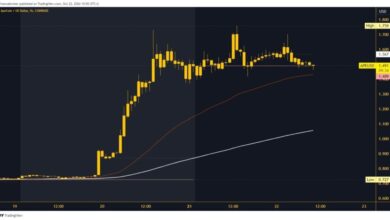 Photo of ApeCoin and Akita Inu: ApeCoin rose to a multi-month high