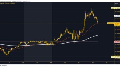 Photo of Dogecoin and Shiba Inu: Dogecoin in retreat since last night