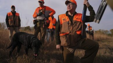 Photo of Pheasant hunts, football games: Walz makes his appeal to male voters