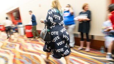 Photo of Motivation to vote surged among women after Harris became the nominee