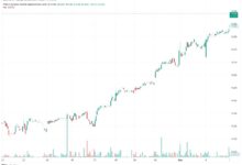 Photo of PDO Stock Price: Forecast and Dividend Insights