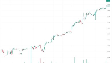 Photo of PDO Stock Price: Forecast and Dividend Insights