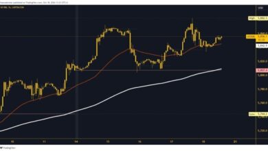 Photo of S&P 500 and Nasdaq: New Targets and Support Levels