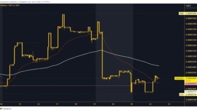 Photo of SafeMoon and Litecoin: New Targets and Support Levels