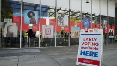 Photo of Georgia judge blocks array of rules approved by pro-Trump election board