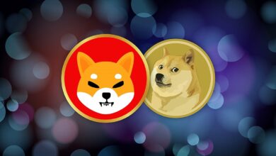 Photo of Dogecoin and Shiba Inu: New Highs and Support on Tuesday