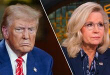 Photo of Trump lambastes Liz Cheney as ‘Crazed Warhawk’ as she campaigns for Kamala Harris