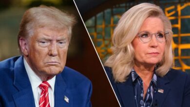 Photo of Trump lambastes Liz Cheney as ‘Crazed Warhawk’ as she campaigns for Kamala Harris