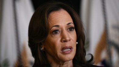 Photo of As a cautious Kamala loses momentum, Democrats are panicking over a Trump win