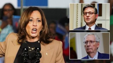 Photo of Harris silent after GOP leaders say ‘fascist’ rhetoric ‘risks inviting’ another Trump assassination attempt