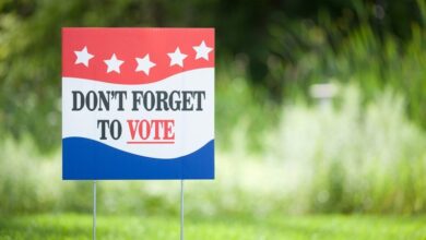 Photo of Everything you need to throw an election party after you get out and vote