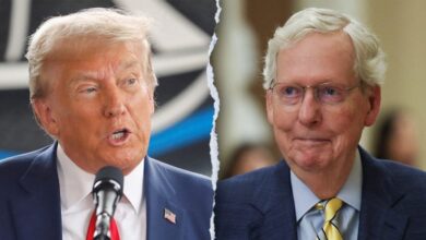 Photo of ‘Sleazeball’: McConnell’s 2020 thoughts on Trump revealed in new book