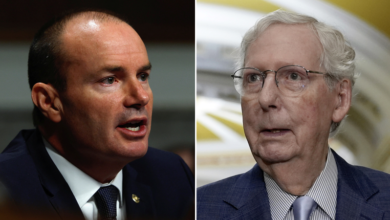 Photo of Mike Lee outlines roadmap for McConnell successor, warns the ‘health of the Republican Party’ is at stake