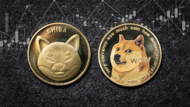 Photo of Dogecoin and Shiba Inu: New Support and Resistance Levels