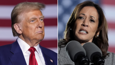 Photo of Harris slams ‘offensive’ Trump remark on protecting women from migrant crime