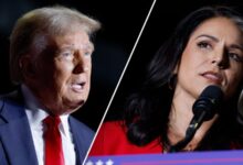 Photo of Tulsi Gabbard, former Democratic candidate for president, joins Republican party at Trump rally