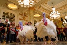 Photo of PETA protests Biden turkey pardon with ‘Hell on Wheels’ display, subliminal messaging to make people go vegan