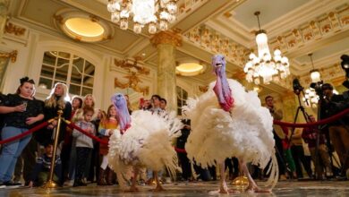 Photo of PETA protests Biden turkey pardon with ‘Hell on Wheels’ display, subliminal messaging to make people go vegan