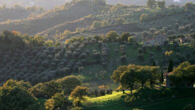 Photo of Italian village offering 1 Euro homes to Americans ‘worn out’ from election results