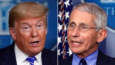 Photo of Fauci ripped over new paper criticizing Trump on coronavirus, promoting natural origin theory: ‘Embarrassment’