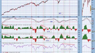 Photo of Price Momentum Oscillator (PMO) Internals Still a Problem